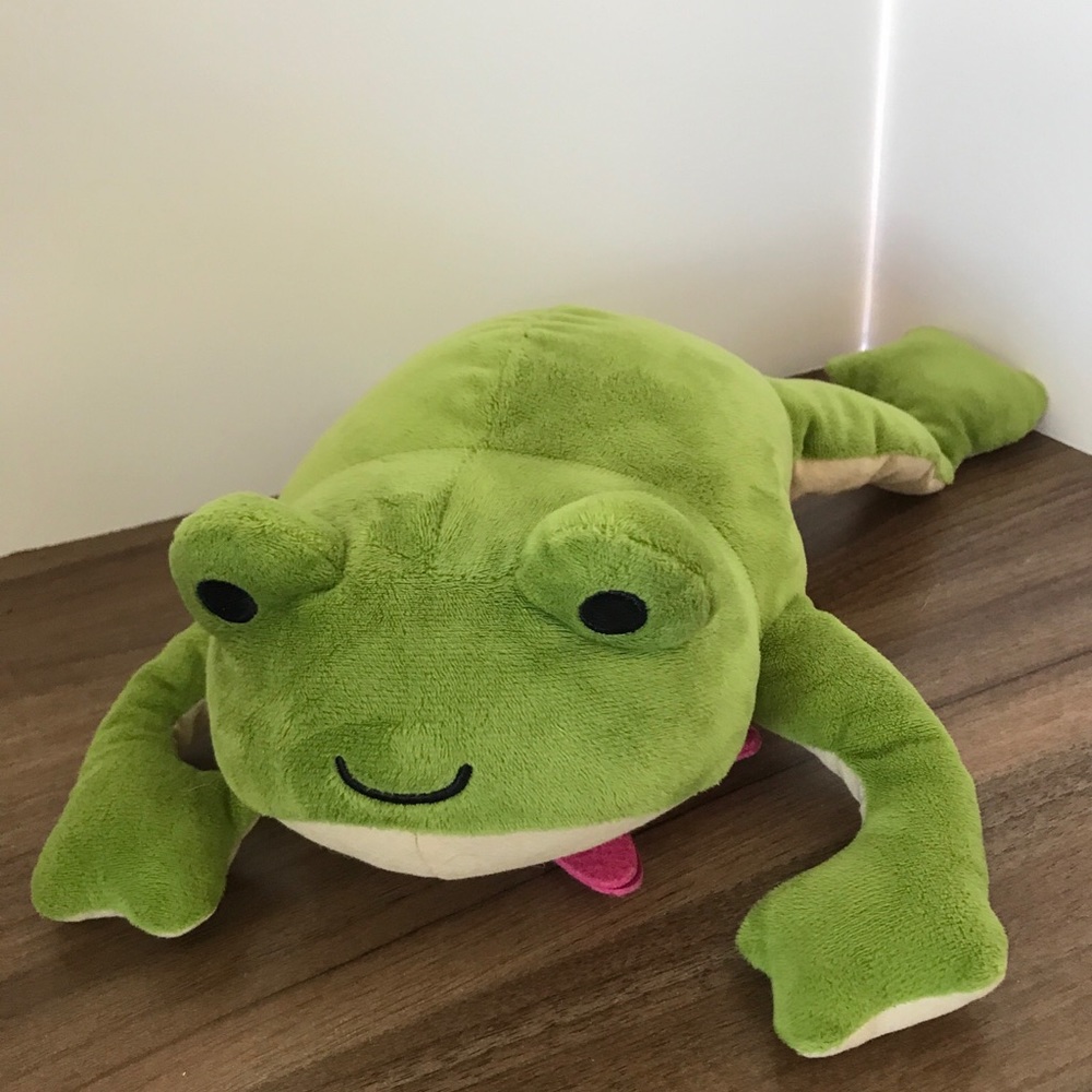 Kiwi Co Dissecting Frog Preowned BI